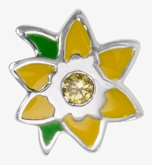 Stow March Daffodil - Birth Flower