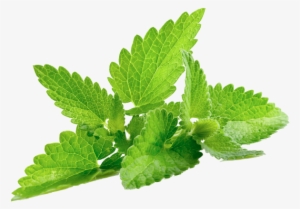 More Views - Im Going To Cornmit