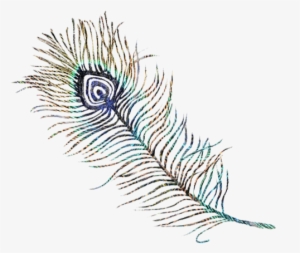 Manifestation Magic - Eyelash Extensions