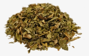 Organic Spearmint - Spearmint