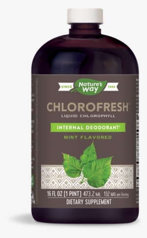 Chlorofresh Mint Liquid Chlorophyll - Nature's Way Chlorofresh Mint