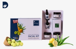 Debon Herbals Skin Whitening Facial Kit - Organic Amla Fruit Powder 100 Veg Capsules. Pure And