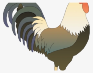 Clipart Rooster