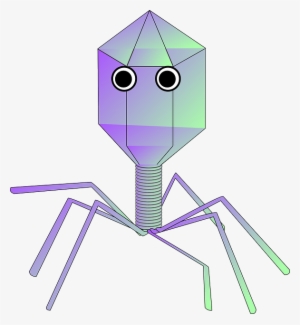 Virus Removal - Virus Png