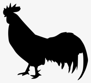 Animal Cock Rooster Comments - Love Rooster
