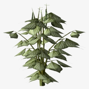Pinto Bean Plant - Video Game