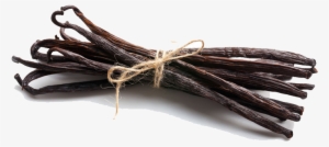 Vanilla Bean Png Photo - Vanilla Bean Transparent Png