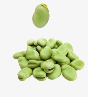 Broad Beans - Broad Beans Png