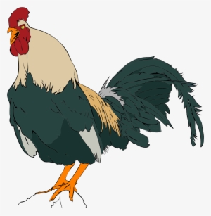 Open - سال 96 سال چه حیوانی است