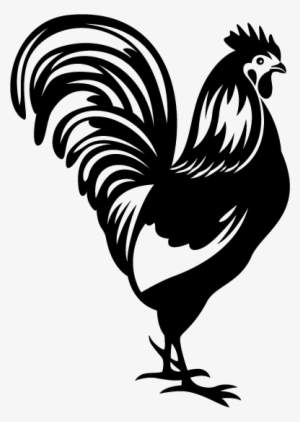 Rooster