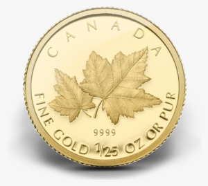 A Gold Coin - Maple Leaf 1 15 Oz Gold Coin