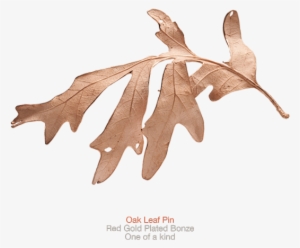 Oak