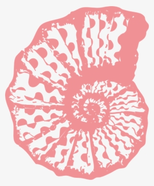 Shell Clipart Pink Seashell - Coral Colored Sea Shell