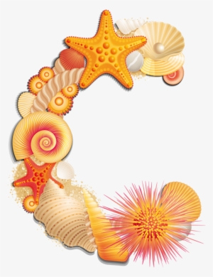 Beach Letter C - Seashell B Scrapbook Alphabet Png