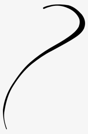 Download Black Vector Lines - Curvy Line Png - 390x596 PNG Download ...