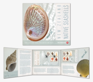 Sea Shells Pack Inside And Cover - Postage Stamp