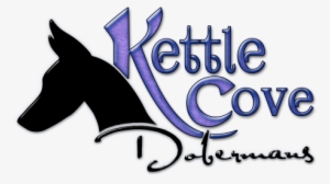 Whipped-cream Charger