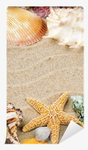 Marine Frame With Colorful Sea Shells Wall Mural • - Cornice Marina