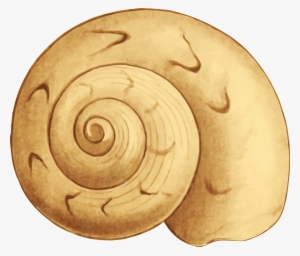 This Free Icons Png Design Of Sea Shell 35