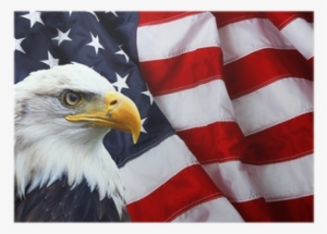 North American Bald Eagle On American Flag Poster • - American Flag Badass