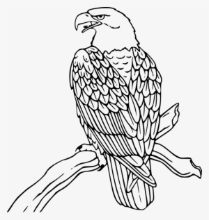Love Wood Clipart Eagle - Eagle Black And White Clip Art