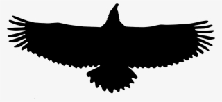 Bald Eagle - Silhouette Eagle