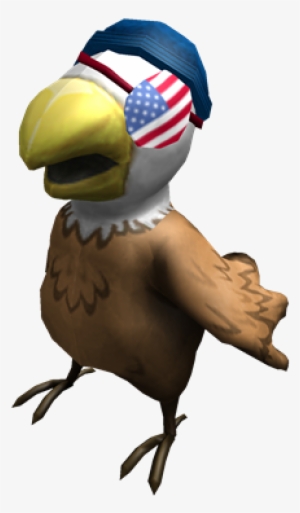 Bald Eagle American Pirate - Pirate Parrot Roblox