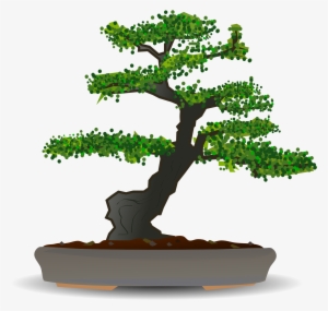 Bonsai Png