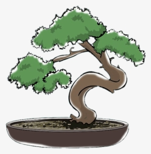 Bonsai Clipart - Bonsai Dibujo