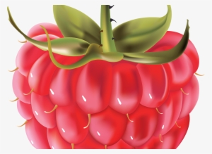Raspberry