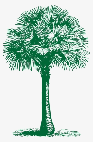 Free Vector Australian Fan Palm Clip Art - Palm Tree Beach Towel