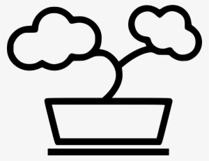 Bonsai Tree Plant Small Pot Flower Comments - Flowerpot