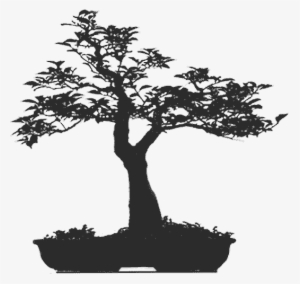 Sillouhette - - Bonsai Tree