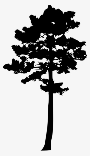 Png File Size - Tree Silhouette Clip Art Pine