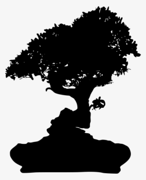 Download Png - Bonsai