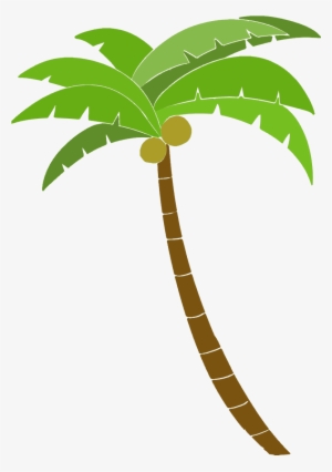 Palm Tree Vector Graphics To Download Vexels - 南国 素材 背景 透過