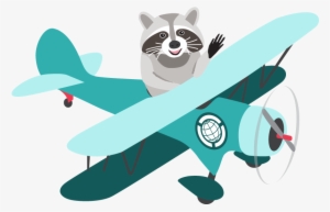 File - Raccoon2 - Thumbnail