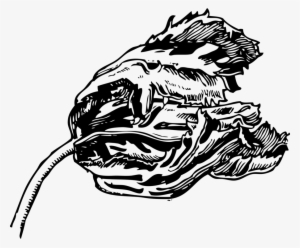 Tulip Computer Icons Drawing Flower Silhouette - El Tulipan Negro