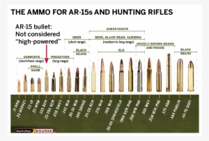 Myths About The Ar-15 And Bans On Weapons - Best Caliber For Deer Hunting