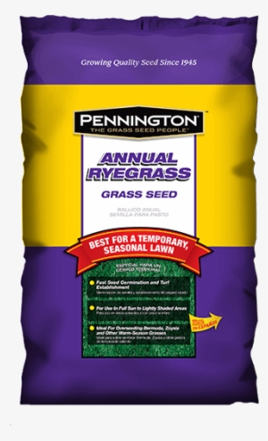 Pennington Annual Ryegrass Grass Seed, 20 Lbs