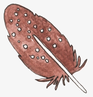 This Graphics Is Black Wood Feather Transparent Decorative - Brown