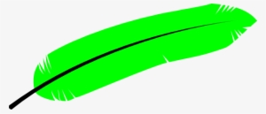 How To Set Use Green Feather Clipart