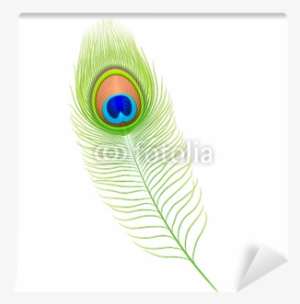 Peacock Feather Png Peacock Feather - Feather
