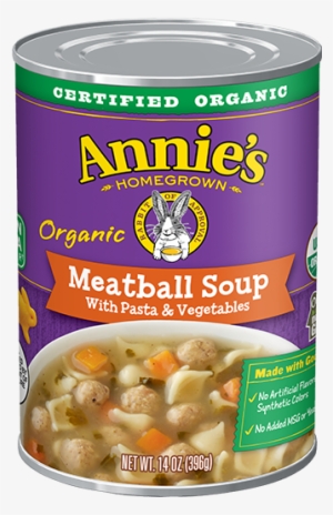 Annie's Chicken Noodle Soup