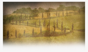 Home Hours & Directions Menu / Catering Lunch Special - Italy