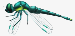 Picture Transparent Stock Dragon Fly Clipart - Dragonfly Png