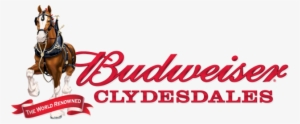 Budweiser Clydesdales Coming To Fort Myers - Budweiser Clydesdales Logo