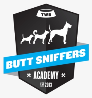 Logo Animations By Matthew Lawless