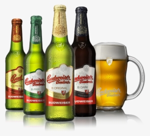 Budweiser Budvar Brand - Hugel Jubilee Riesling 2007 Alsace