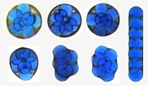 Seven Water Droplets Inside A Larger Oil Drop Can Form - Gota De Aceite Microscopio